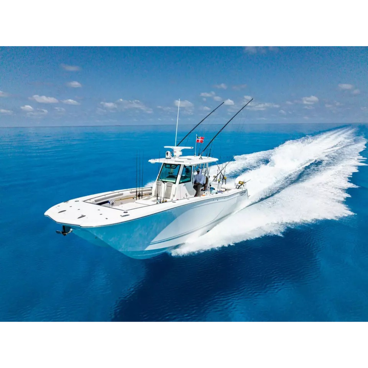 Raymarine - Cyclone / Pro - Radar