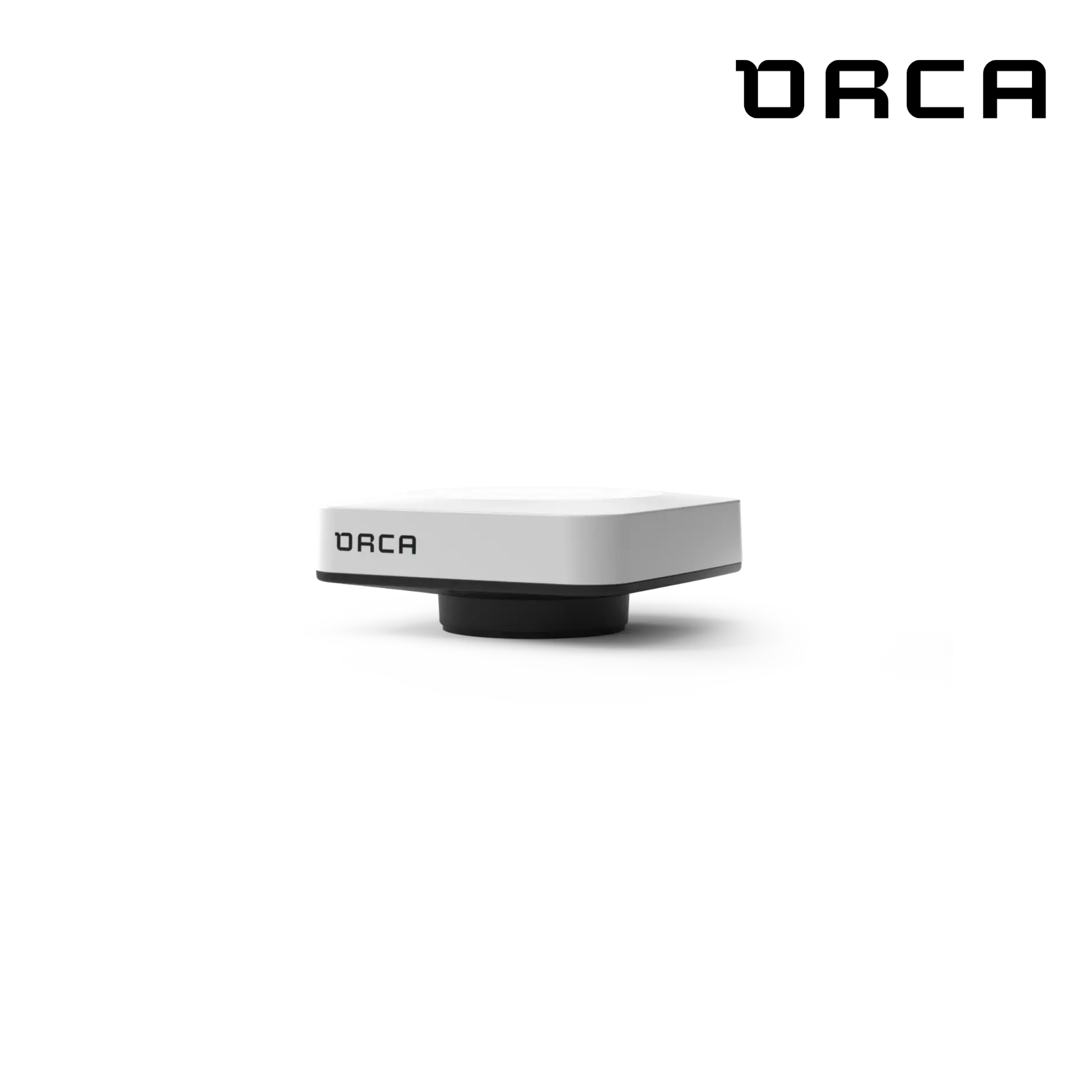 Orca - Noyau 2