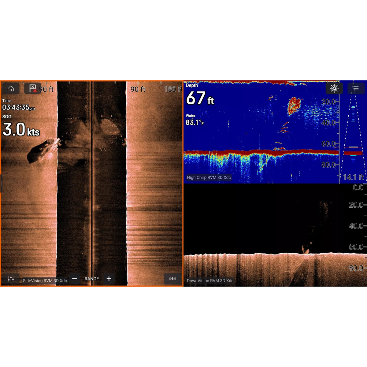 Raymarine - RVM1600 - Sonar