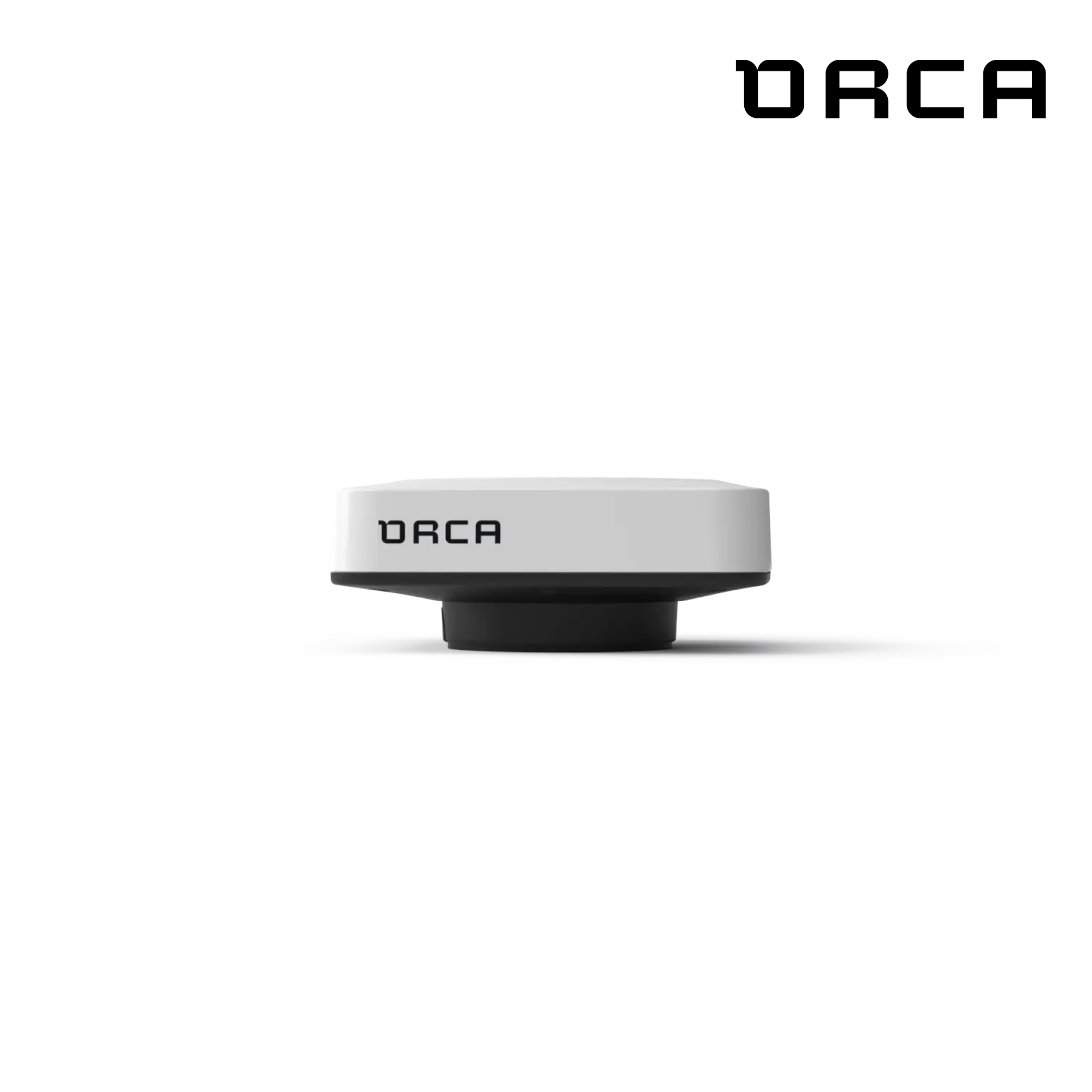 Orca - Noyau 2